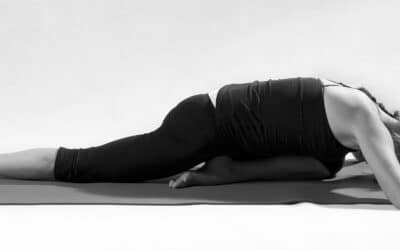 Postura del Piccione Reale – Yoga